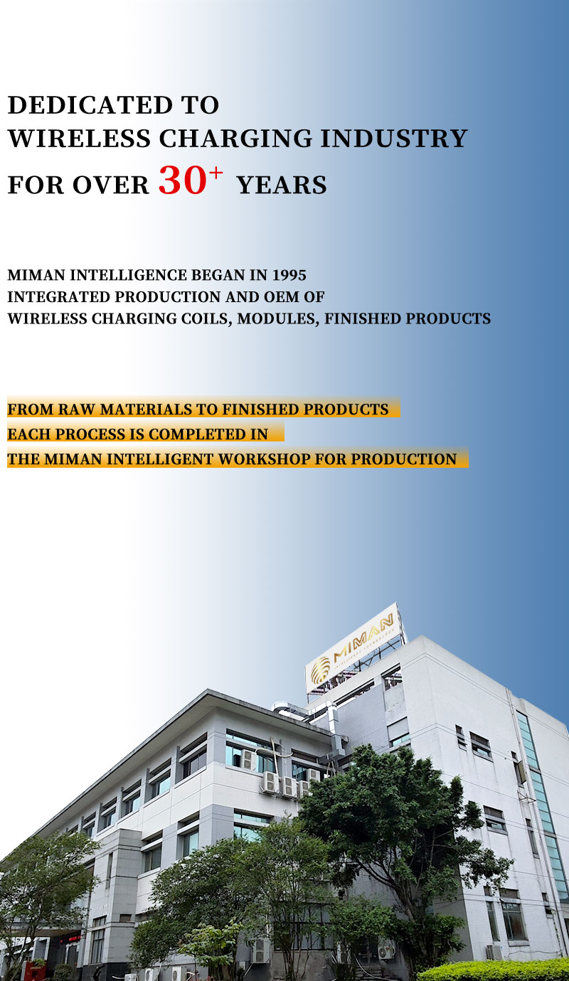 carga-inal&aacute;mbrica_01